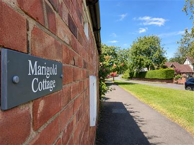 Picture 19